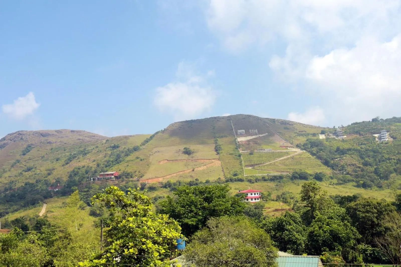Evergreen Mist Vagamon 0*,