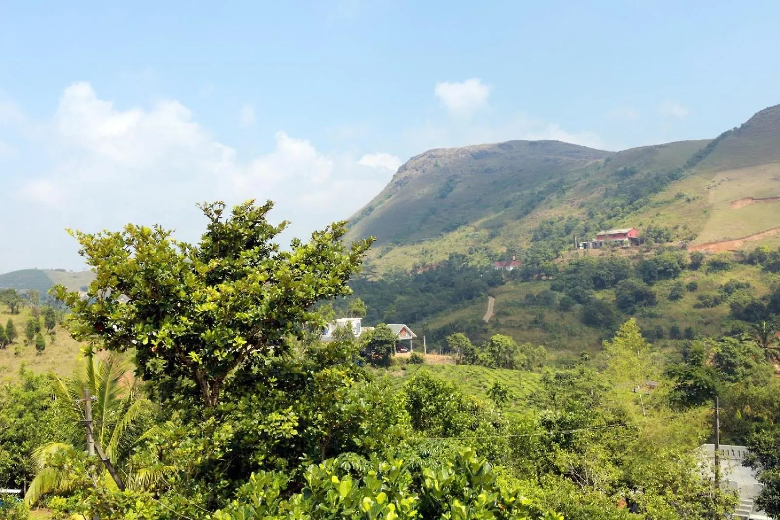 Evergreen Mist Vagamon Villa